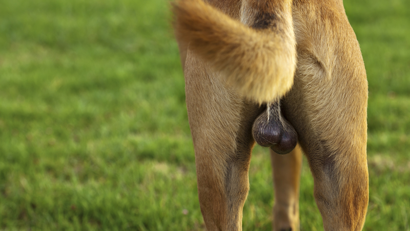 I get it, but I wish I didn’t have to / via elbud/Shutterstock